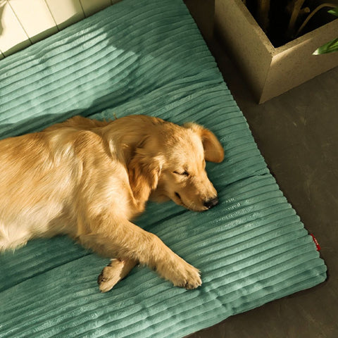 Beds