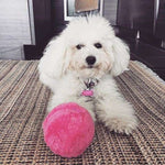 Active Rolling Ball