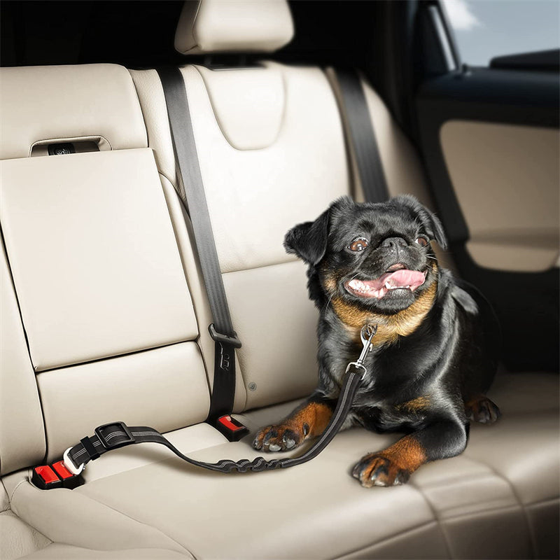 Durable Nylon Reflective Bungee Seat Belt For Car Safety
