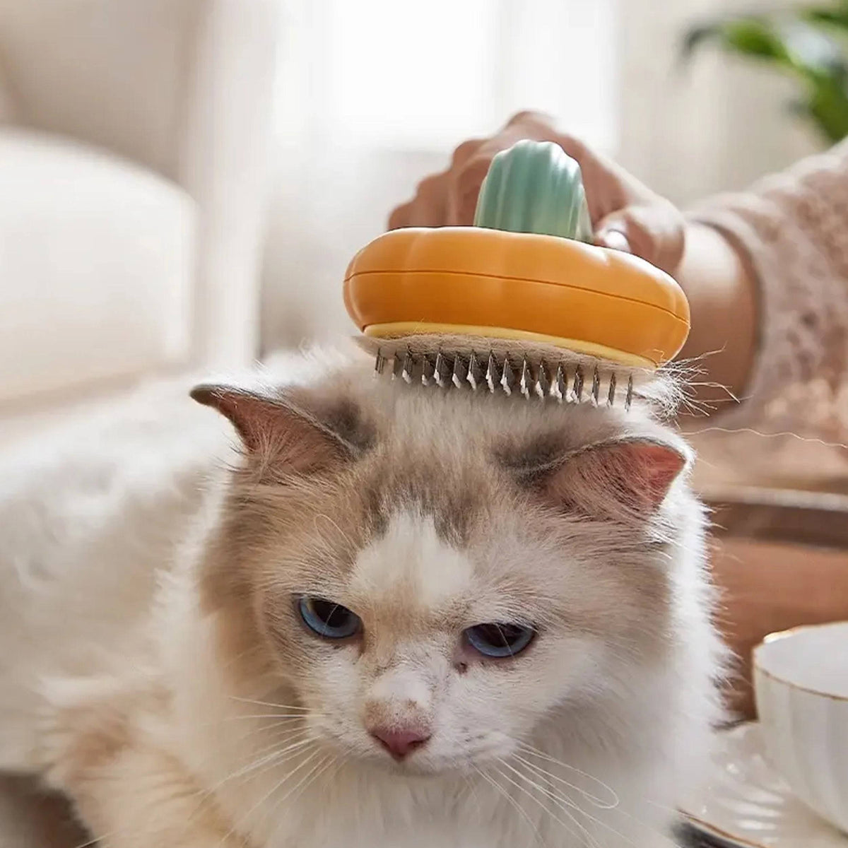 The PET brush ™ - Get a hair-free home