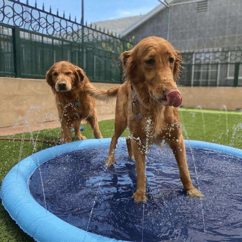 PupSplash™ Sprinkler Pet Pool