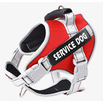 Personalized No Pull Dog Harness with Handle - Pup Buddy ™