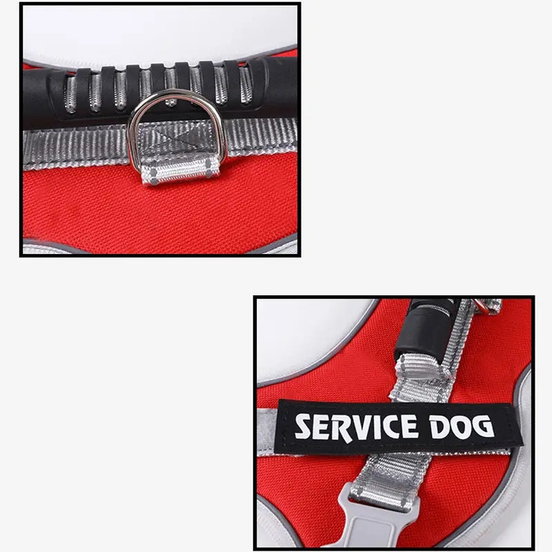 Personalized No Pull Dog Harness with Handle - Pup Buddy ™