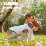 Summer Dog Cooling Vest