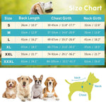 Summer Dog Cooling Vest