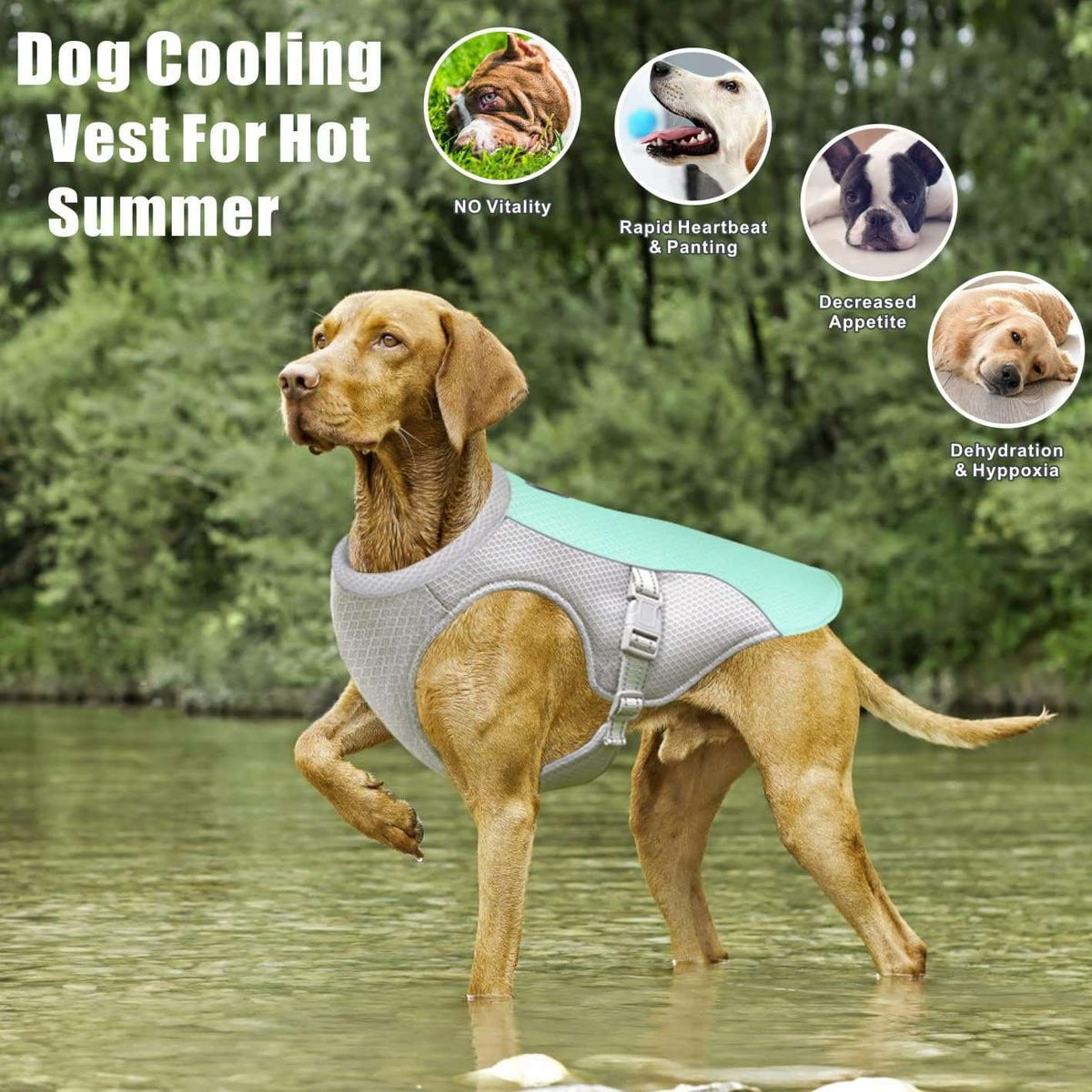 Summer Dog Cooling Vest
