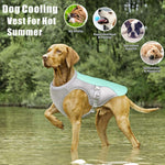 Summer Dog Cooling Vest