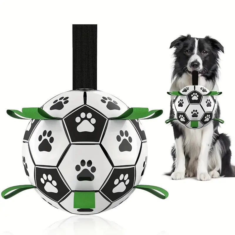 Dog Football Buddy