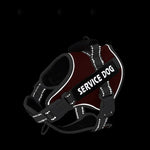 Personalized No Pull Dog Harness with Handle - Pup Buddy ™