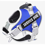 Personalized No Pull Dog Harness with Handle - Pup Buddy ™