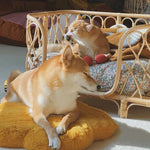 Fluffy Sunflower Pet Mat