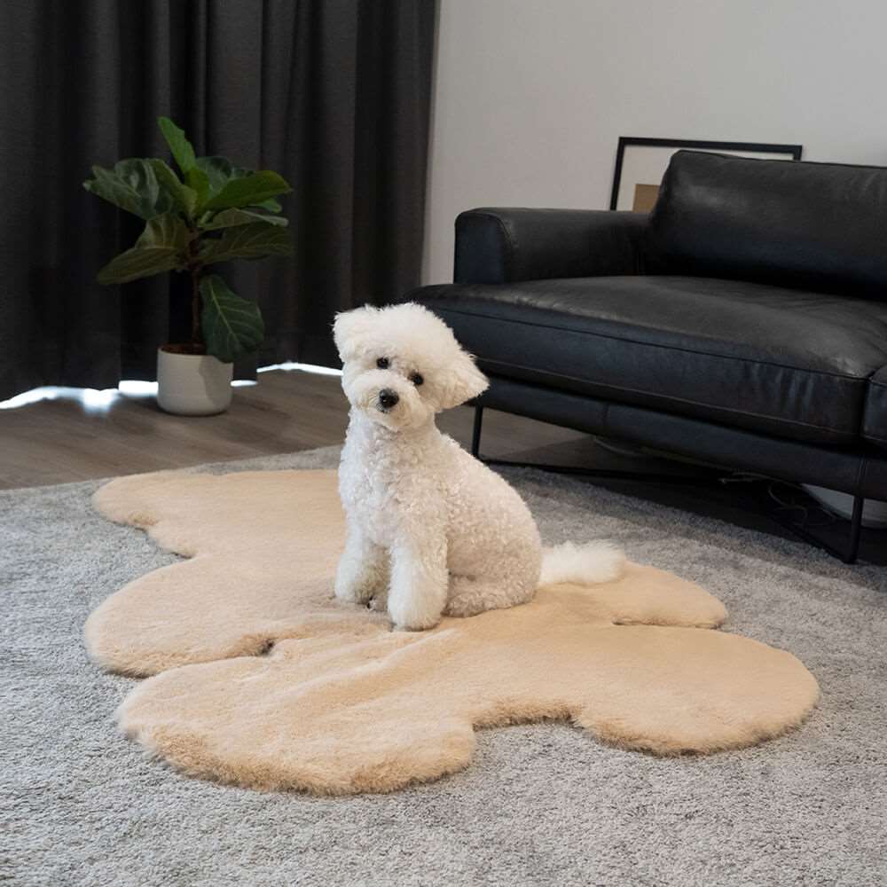 Teddy Bear Pet Mat