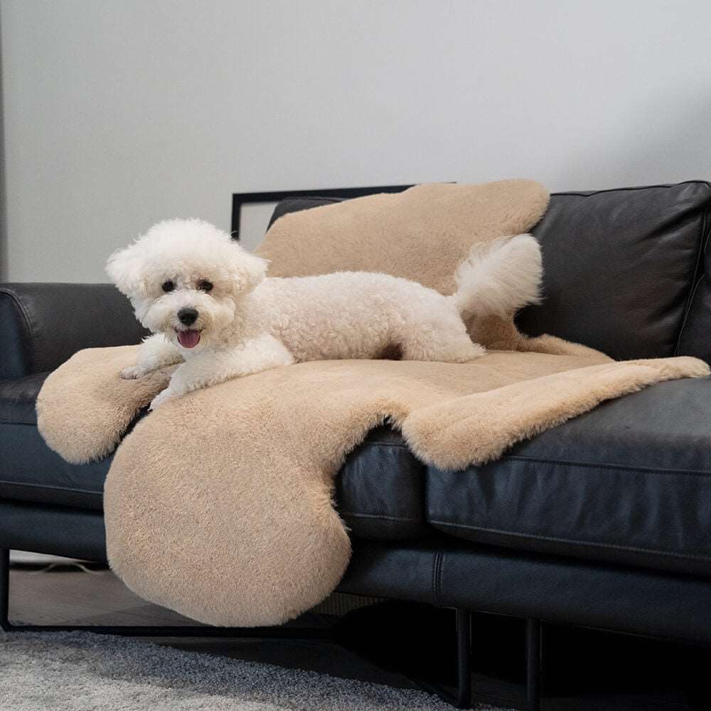 Teddy Bear Pet Mat