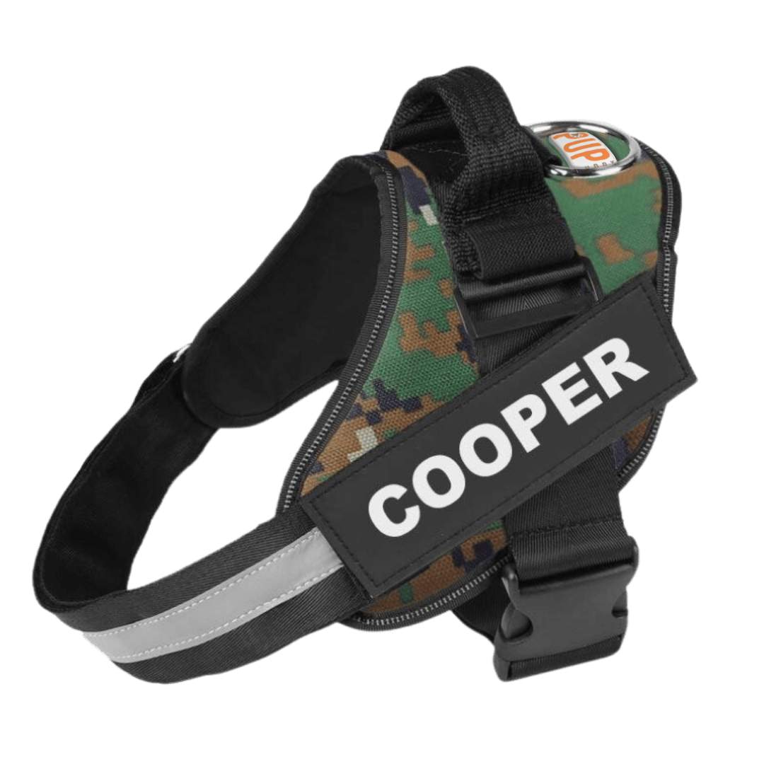 Personalized No Pull Dog Harness - Pup Buddy™