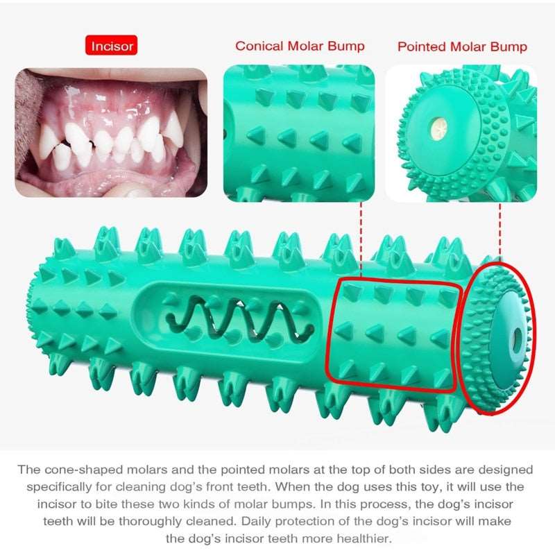 Dog Chew Toy for Molar Cleaning and Teeth Care
