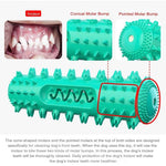 Dog Chew Toy for Molar Cleaning and Teeth Care