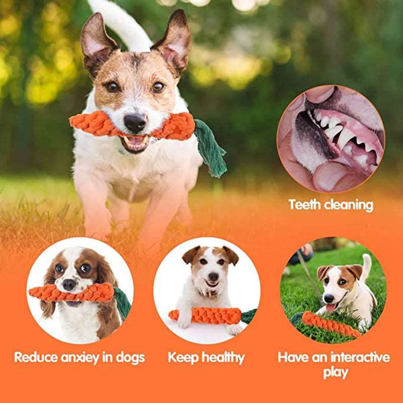 Carrot Rope Toy