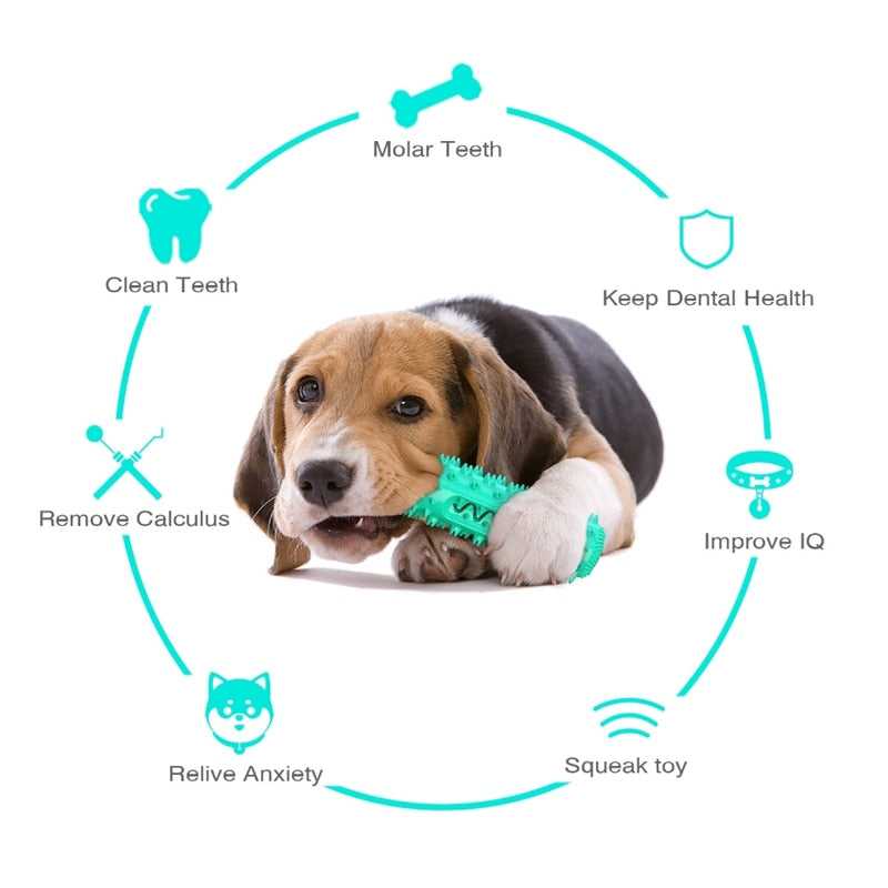 Dog Chew Toy for Molar Cleaning and Teeth Care