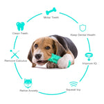 Dog Chew Toy for Molar Cleaning and Teeth Care