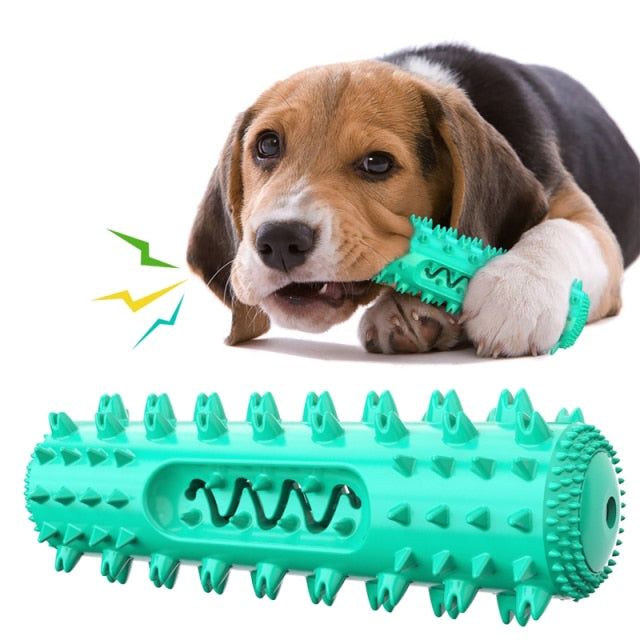 Dog Chew Toy for Molar Cleaning and Teeth Care