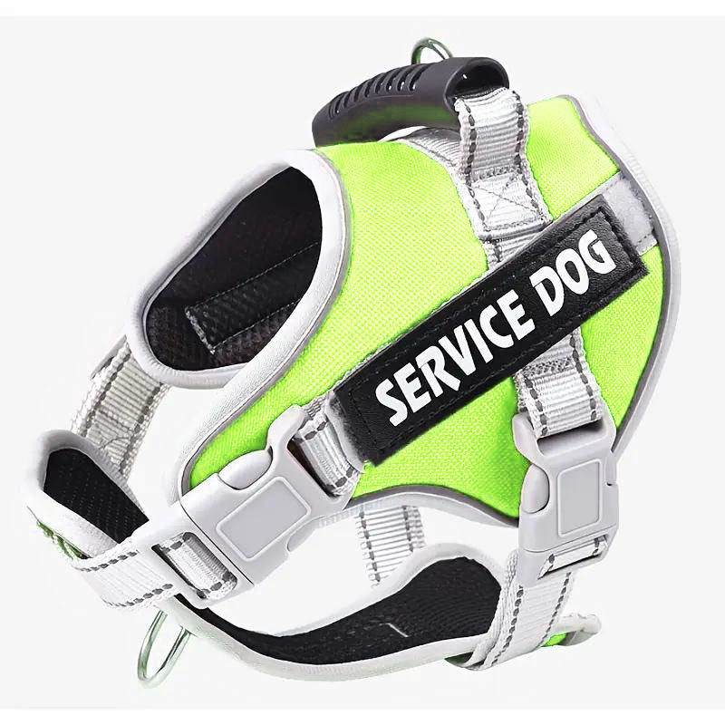 Personalized No Pull Dog Harness with Handle - Pup Buddy ™