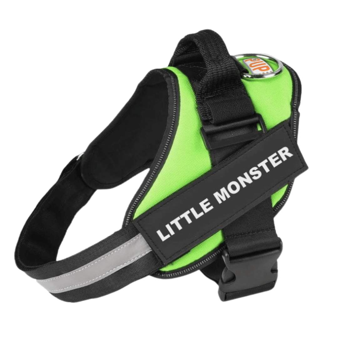 Personalized No Pull Dog Harness - Pup Buddy™