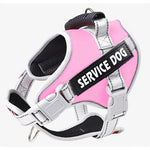 Personalized No Pull Dog Harness with Handle - Pup Buddy ™