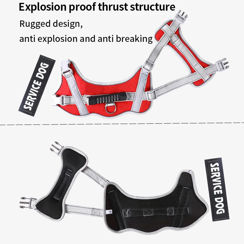 Personalized No Pull Dog Harness with Handle - Pup Buddy ™