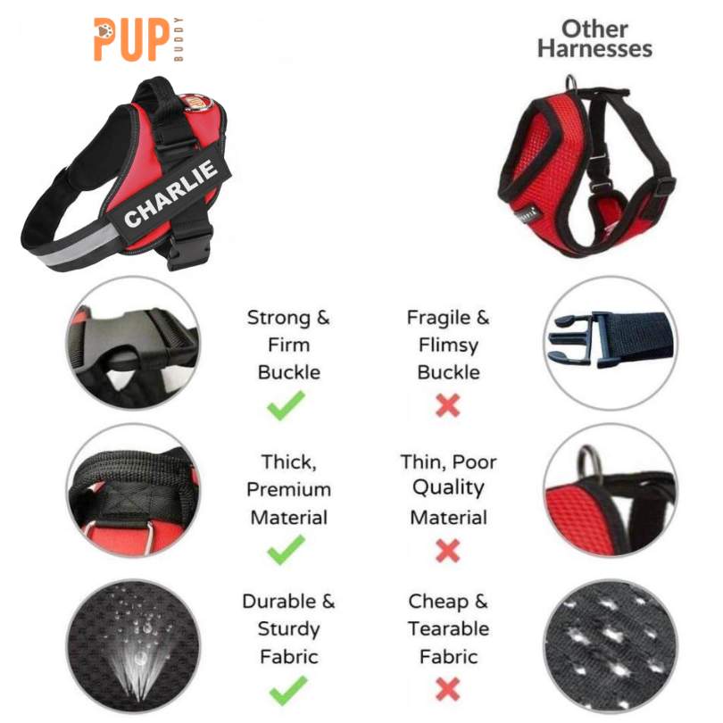 Personalized No Pull Dog Harness - Pup Buddy™
