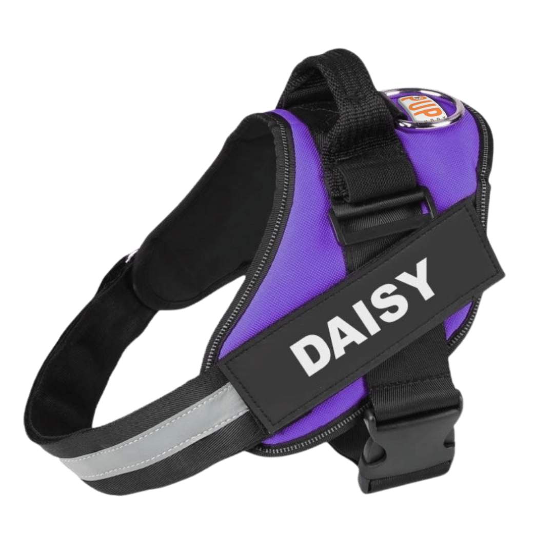 Personalized No Pull Dog Harness - Pup Buddy™