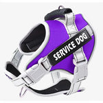 Personalized No Pull Dog Harness with Handle - Pup Buddy ™