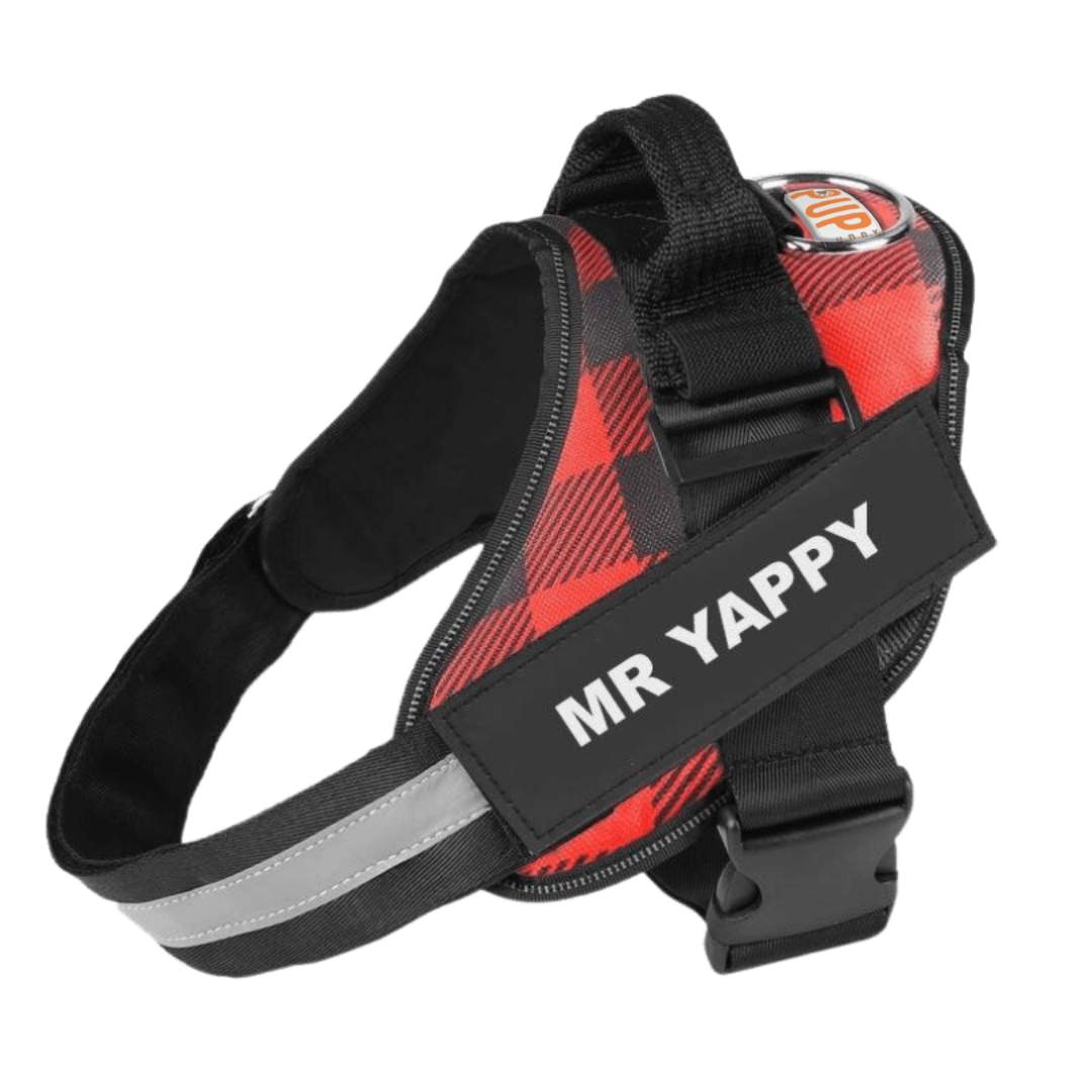 Personalized No Pull Dog Harness - Pup Buddy™