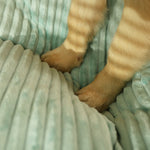 Modern Pet Sofa Bed