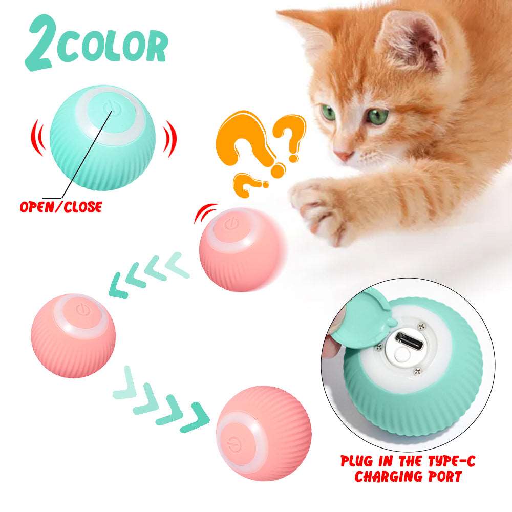 Electric Rolling Ball Buddy