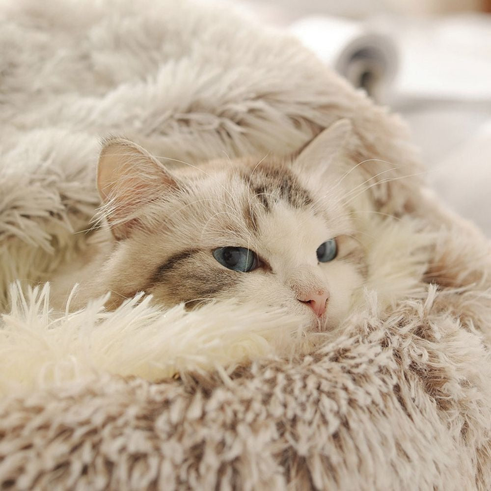 Cozy Cave Buddy™ Warm Pet Bed For Small Dogs and Cats