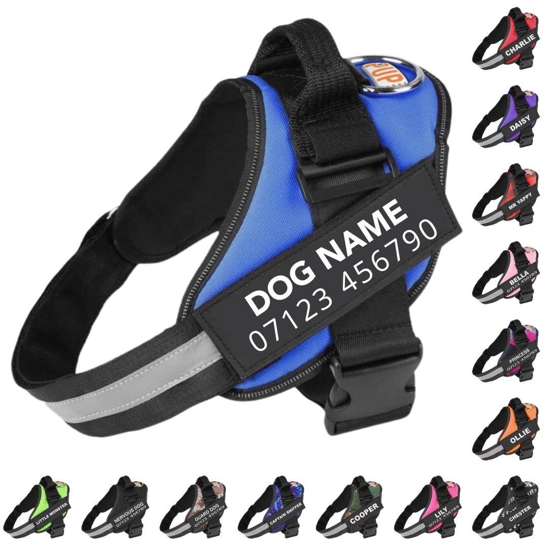 Personalized No Pull Dog Harness - Pup Buddy™