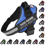 Personalized No Pull Dog Harness - Pup Buddy™