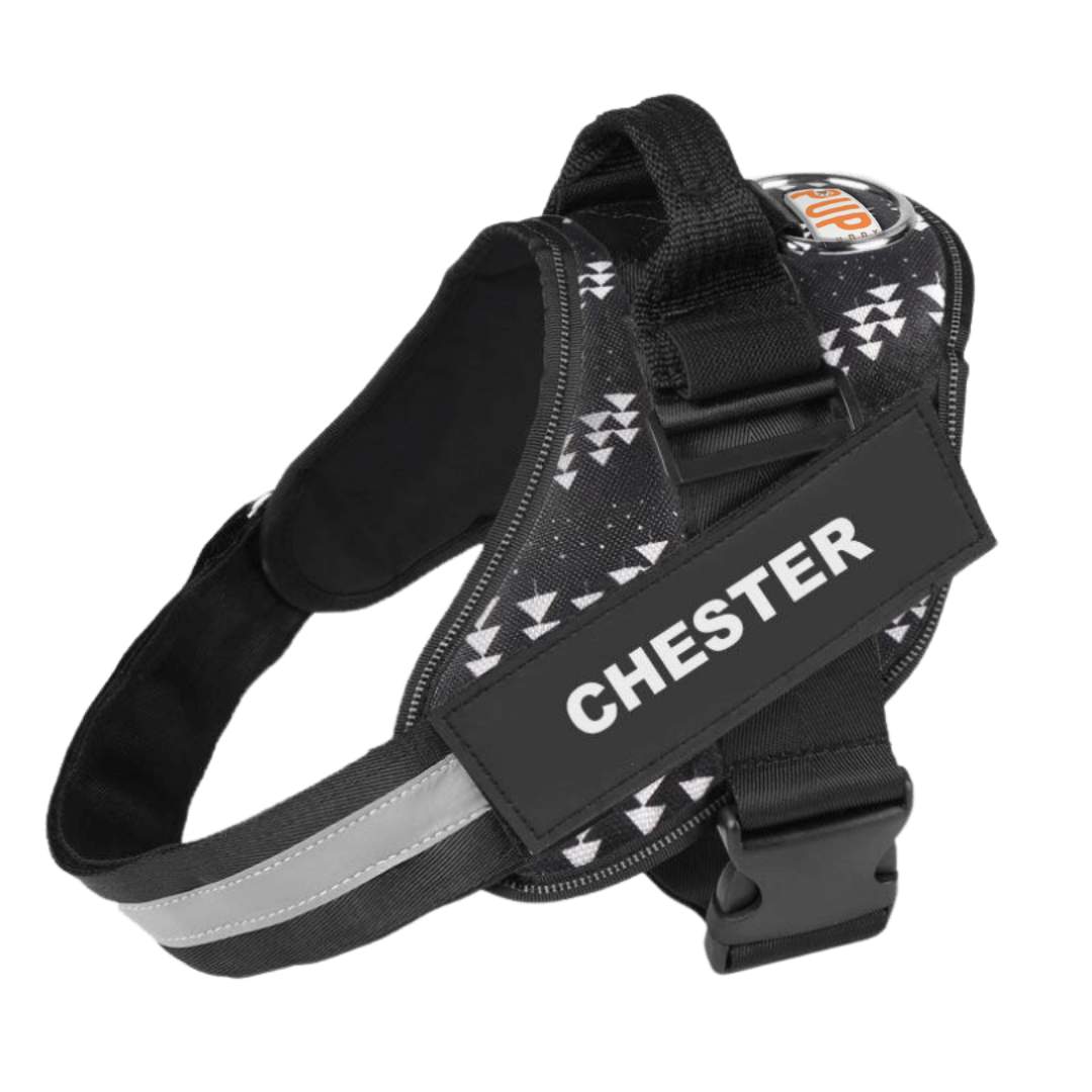 Personalized No Pull Dog Harness - Pup Buddy™