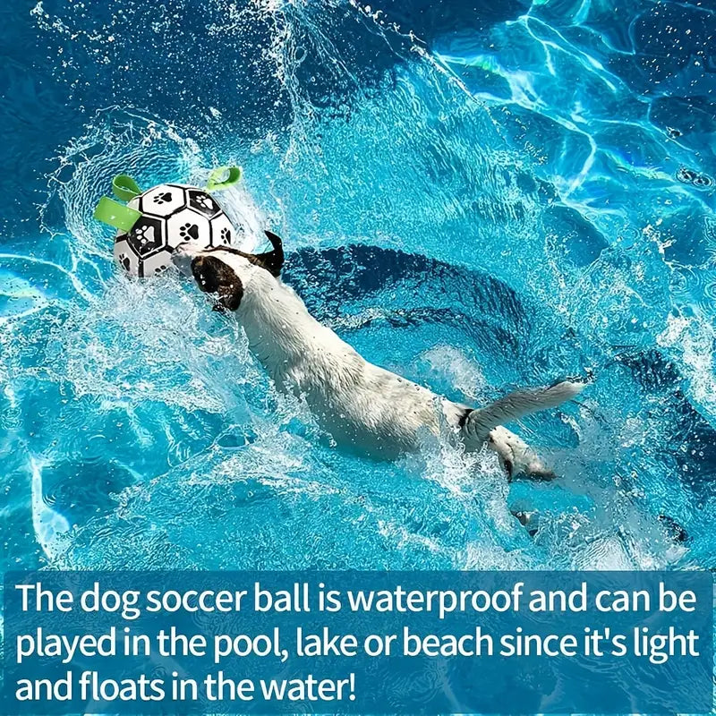Dog Football Buddy