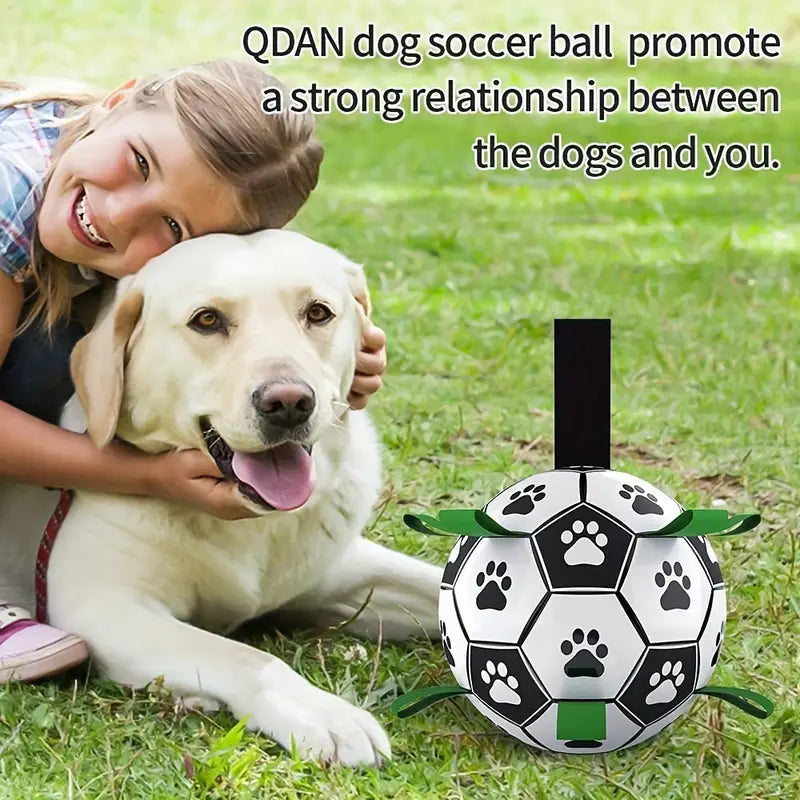 Dog Football Buddy