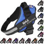Personalised No Pull Dog Harness - Waggy Tails™