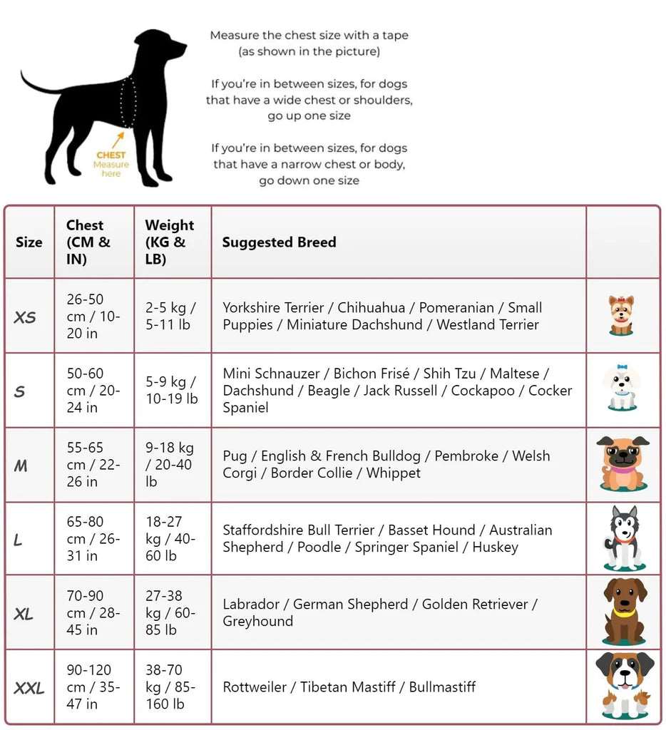 Personalised No Pull Dog Harness - Waggy Tails™