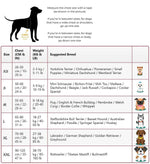 Personalised No Pull Dog Harness - Waggy Tails™