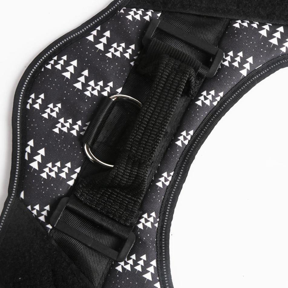 Personalized No Pull Dog Harness - Pup Buddy™