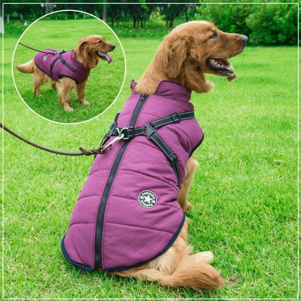 Warm Rainproof Dog Coat/Jacket