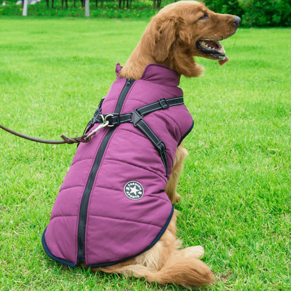 Warm Rainproof Dog Coat/Jacket