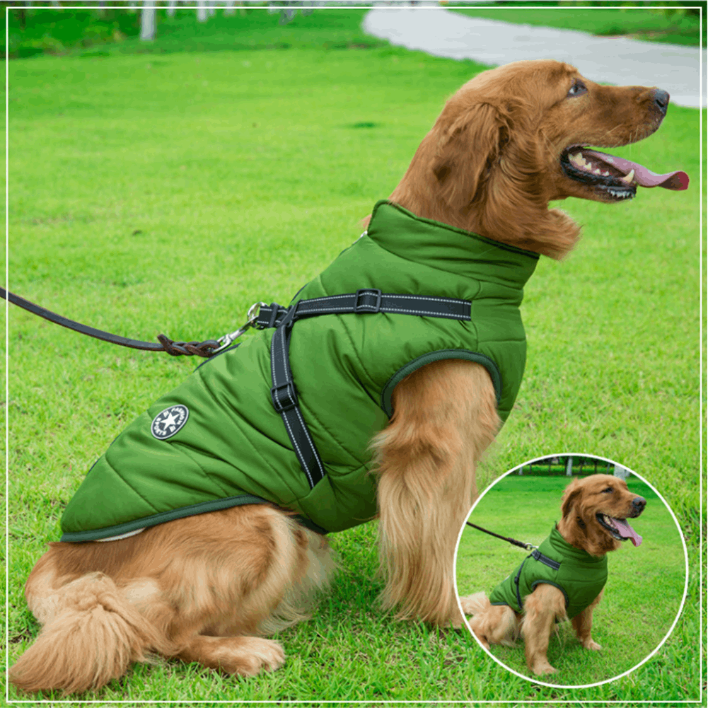Warm Rainproof Dog Coat/Jacket