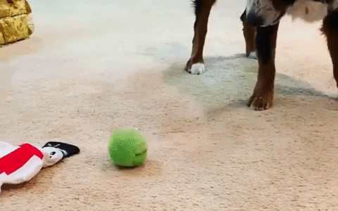 Active Rolling Ball
