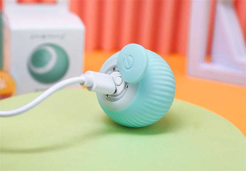 Electric Rolling Ball Buddy