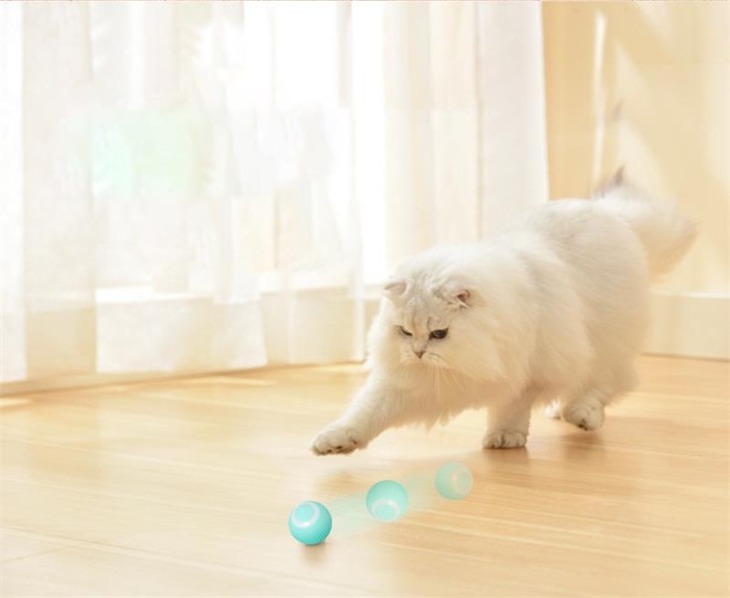 Electric Rolling Ball Buddy